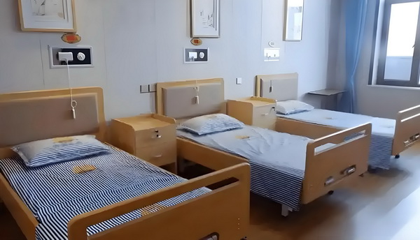 不羁玫瑰
